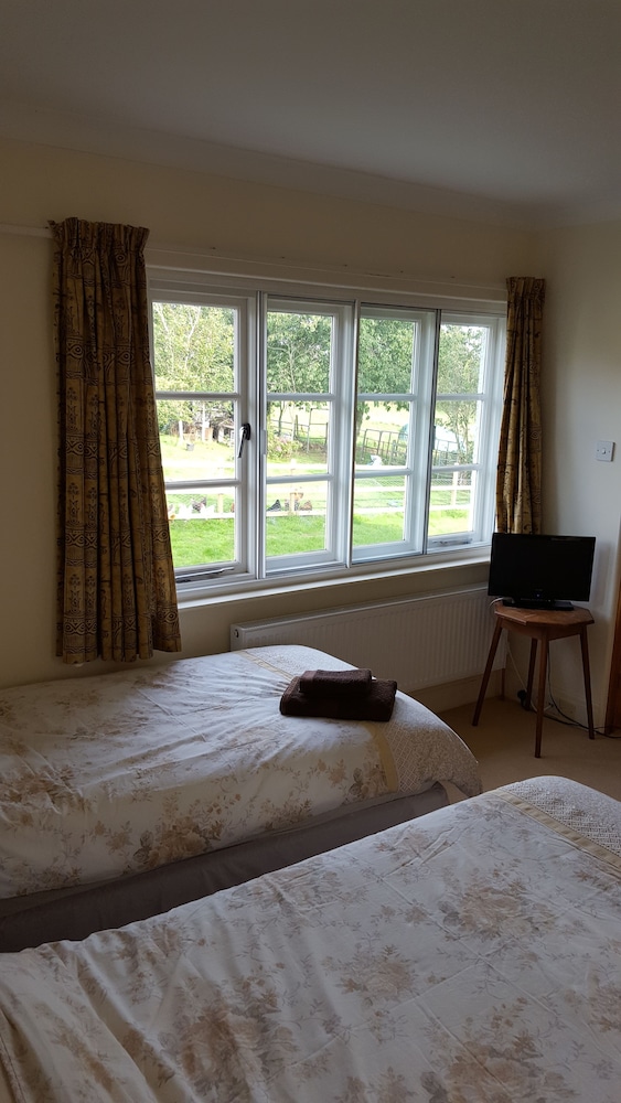 Deluxe Twin Room photo 2