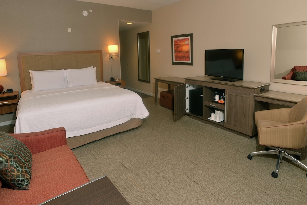 Room, 1 King Bed with Sofa bed, Refrigerator