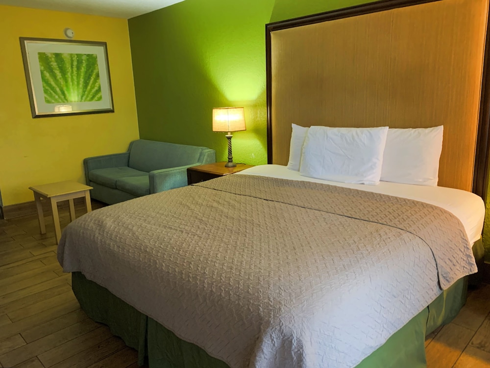 Basic Room, 1 King Bed photo 1