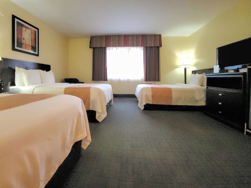Room, Multiple Beds, Non Smoking - Photo 5