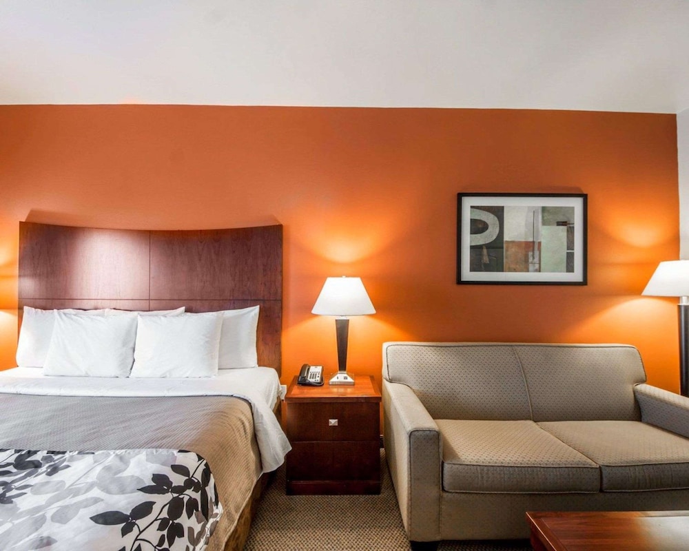 Suite, 1 King Bed with Sofa bed, Non Smoking - Photo 10