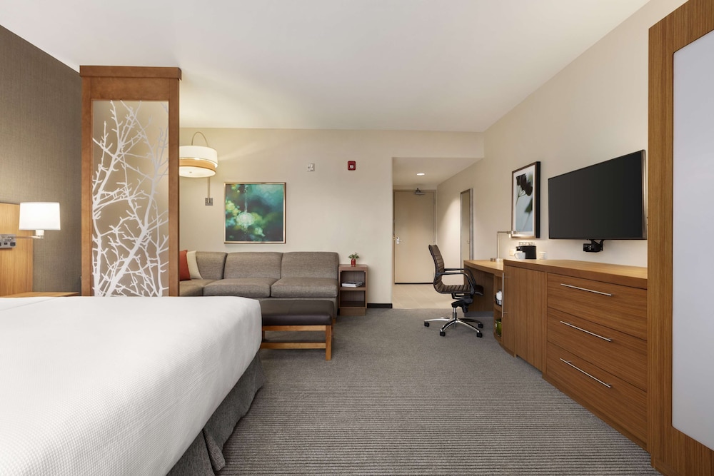 Suite, 1 King Bed with Sofa bed