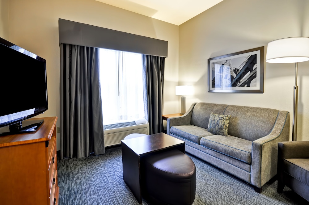 Suite, 1 King Bed photo 1