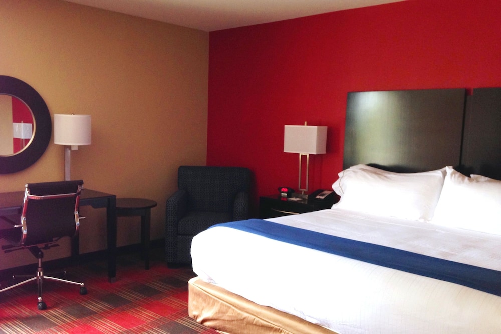 Suite, 1 King Bed photo 2