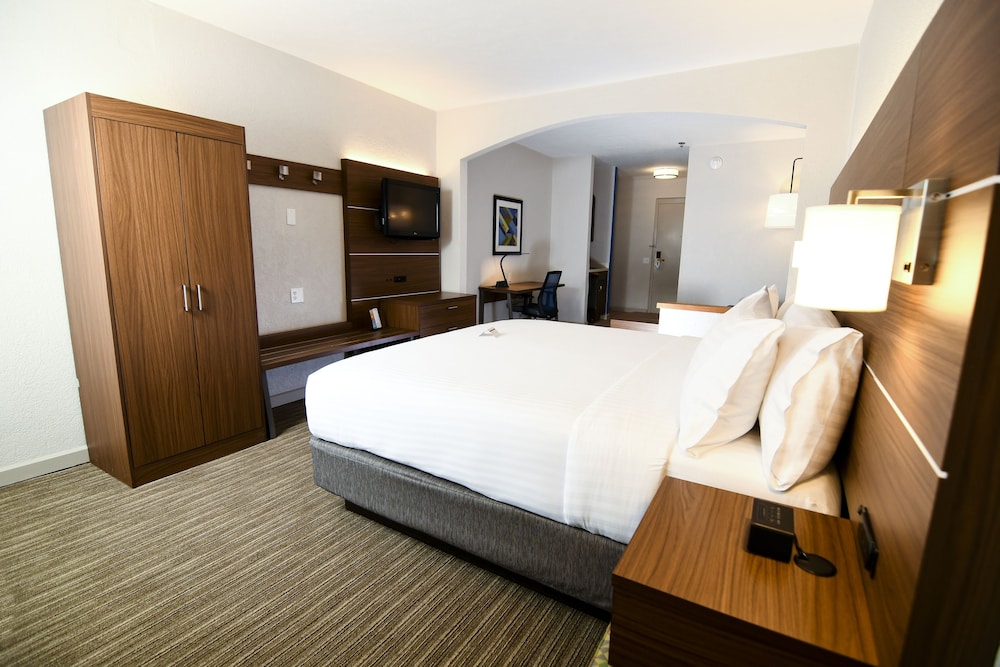 Suite, 1 King Bed - Photo 3