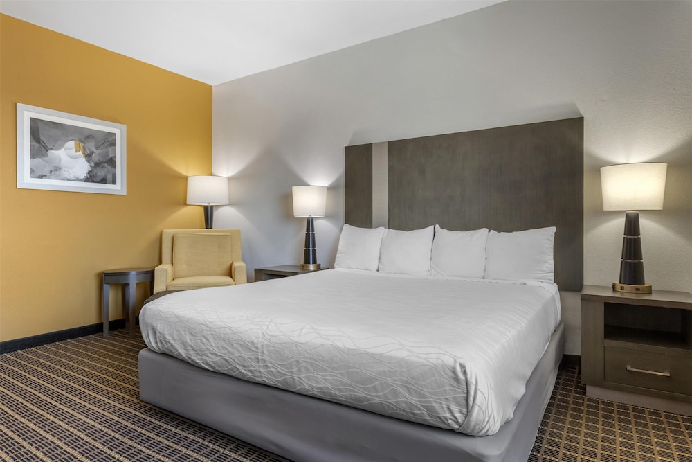 Standard Room, 1 King Bed, Accessible, Non Smoking (Walk-in Shower) photo 2