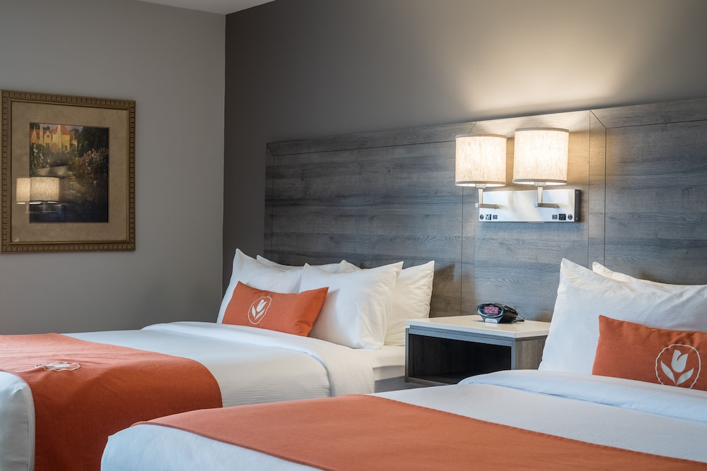 Standard Double Room, 2 Queen Beds - Photo 3