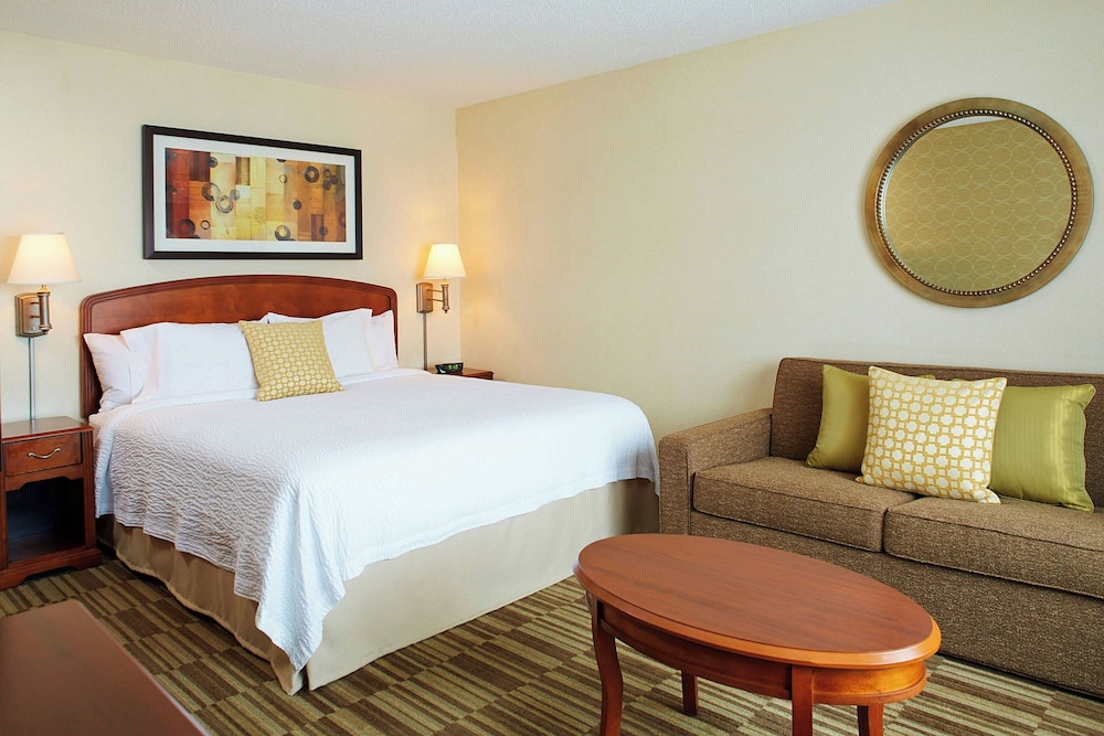 Room, 1 King Bed with Sofa bed (Mobility/Hearing Access, Roll-in Shwr)