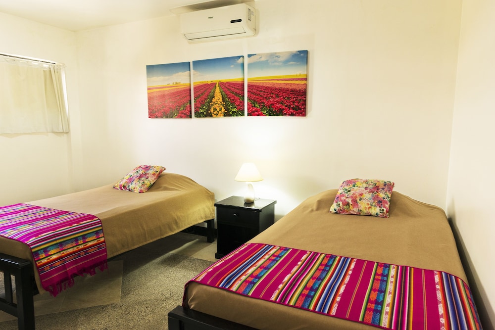 Twin Room photo 3