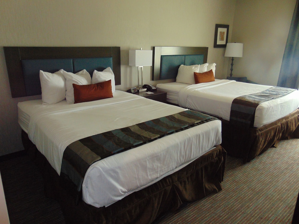 Wingate by Wyndham Lubbock near Texas Tech Univ. Medical Ctr, Foto 3