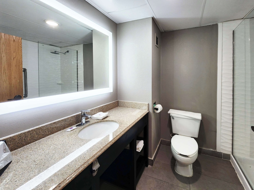Deluxe Suite, Multiple Beds, Non Smoking, Refrigerator & Microwave - Photo 13