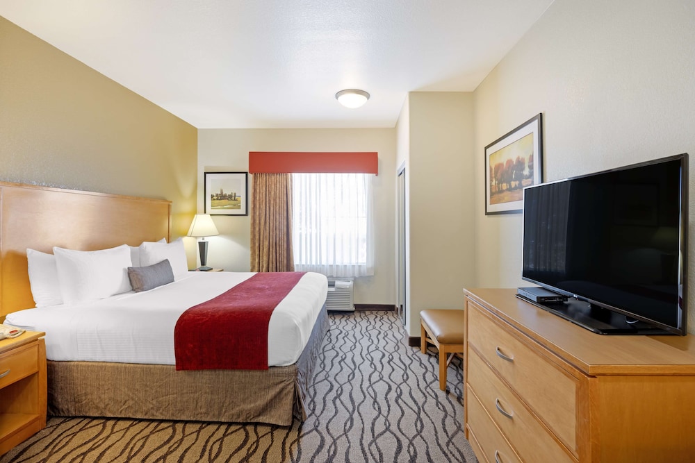 Standard Room, 1 King Bed, Non Smoking, Kitchenette photo 1