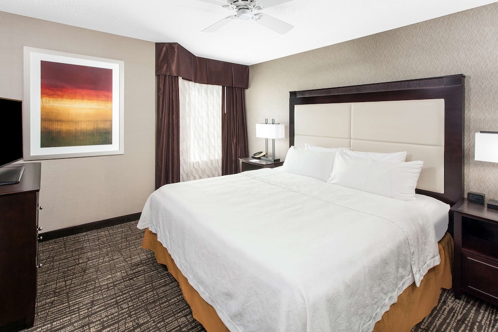 Suite, 1 Bedroom, Non Smoking (1 King Bed, 1 Sofa Bed) - Photo 1