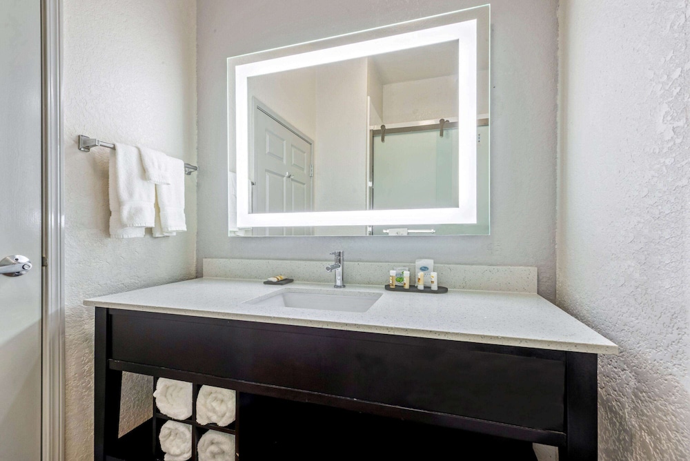 Room, 1 King Bed, Accessible, Non Smoking (Mobility,Roll-In Shower) - Photo 3