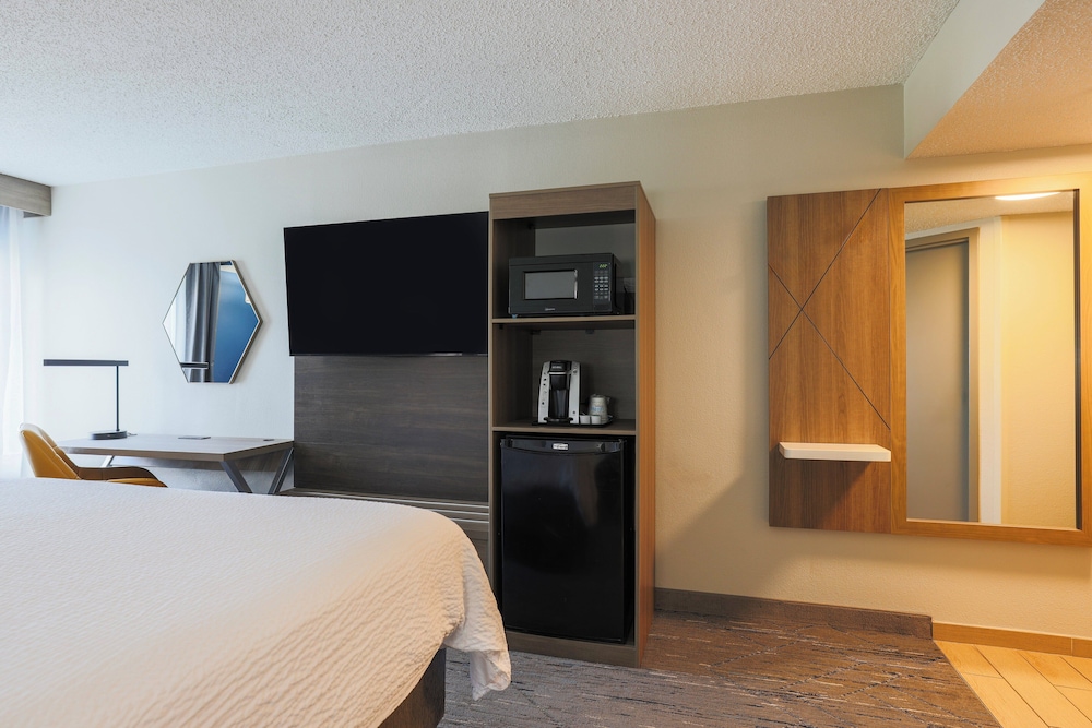 Room, 1 King Bed, Non Smoking (Leisure) - Photo 5