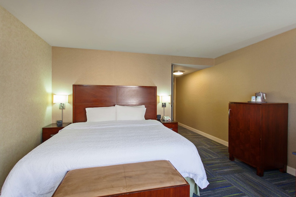Room, 1 King Bed, Accessible, Non Smoking - Photo 1