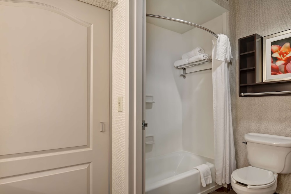 Studio Suite, 1 King Bed, Non Smoking - Photo 2