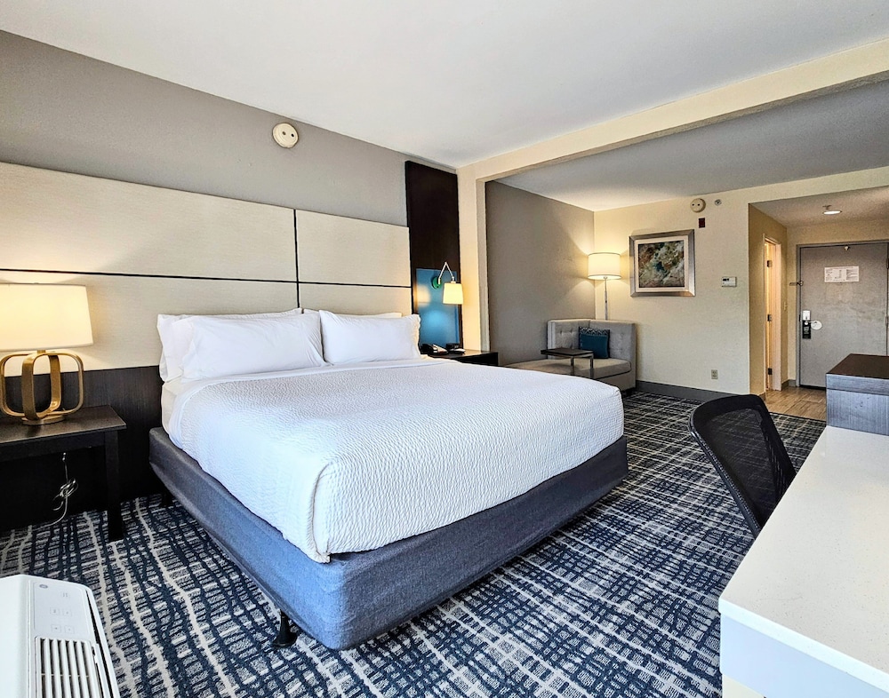 Standard Room, 1 King Bed, Accessible (Communications, Transfer Shower) - Photo 10