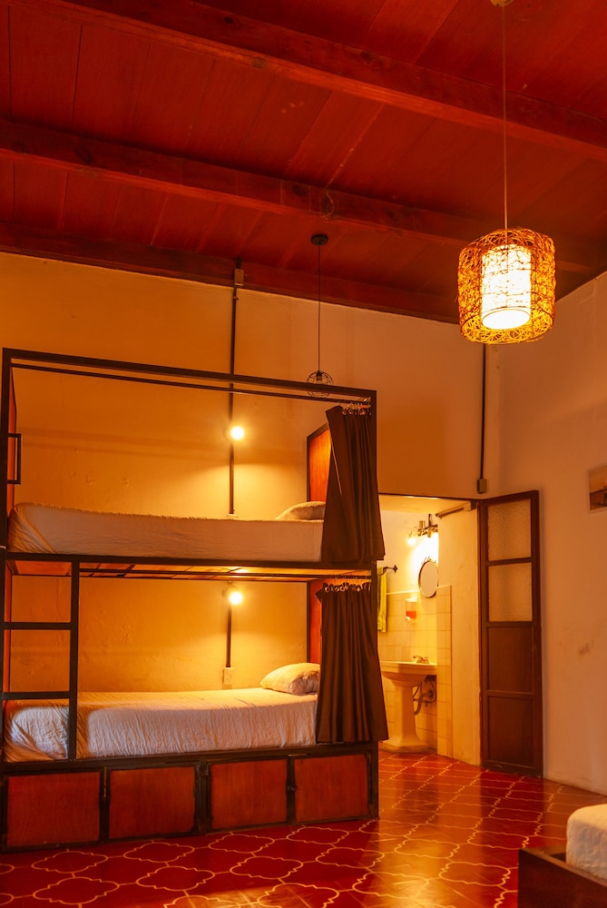 Classic Shared Dormitory photo 3