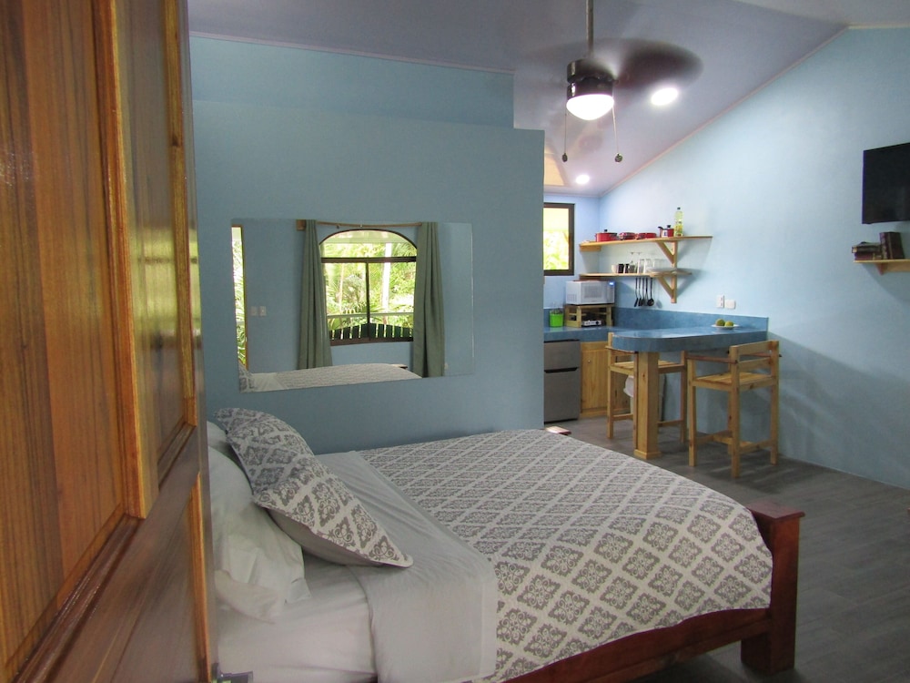 Economy Studio Suite