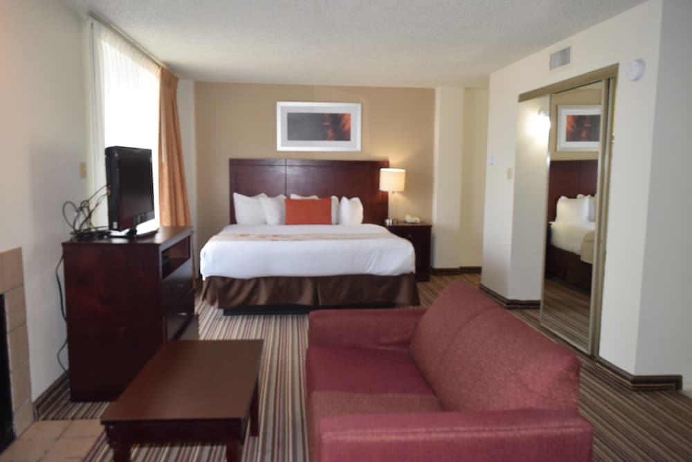 Studio Suite, 1 King Bed, Non Smoking (Roll-In Shower)