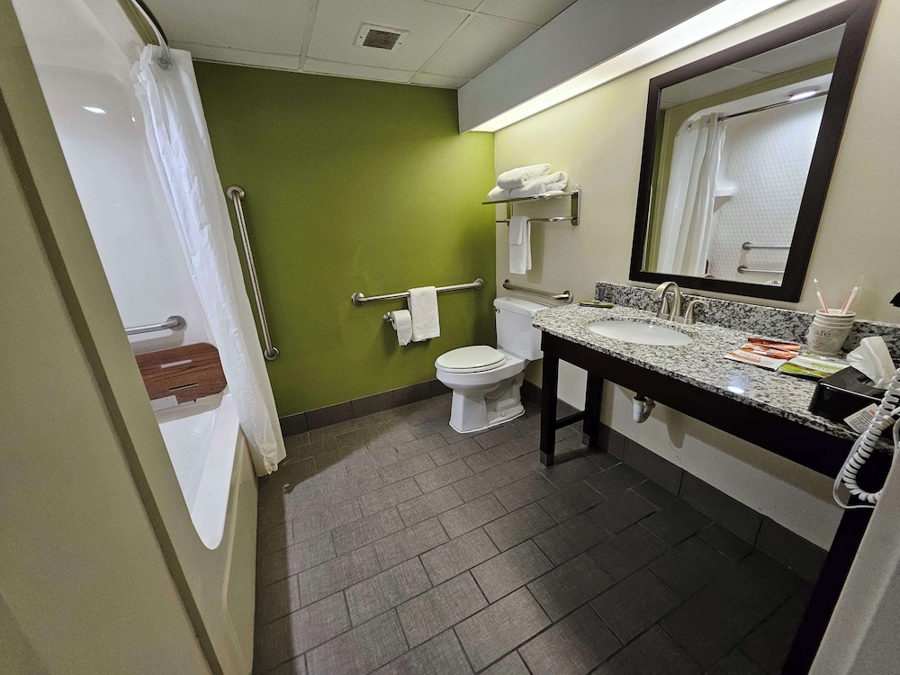 Standard Room, 1 Queen Bed, Accessible, Refrigerator & Microwave - Photo 3