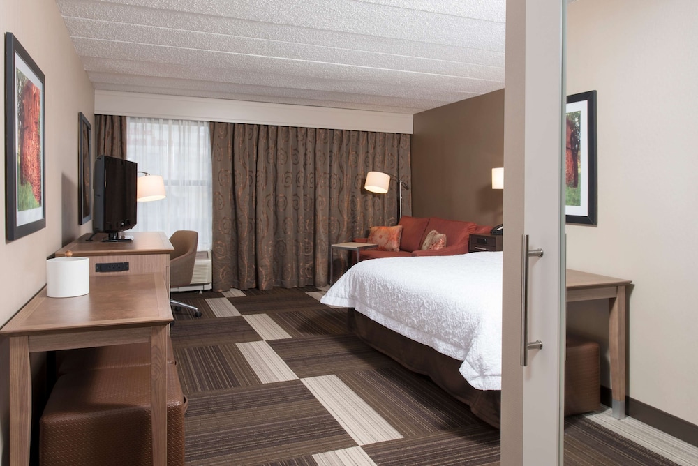 Room, 1 King Bed, Accessible, Non Smoking photo 2