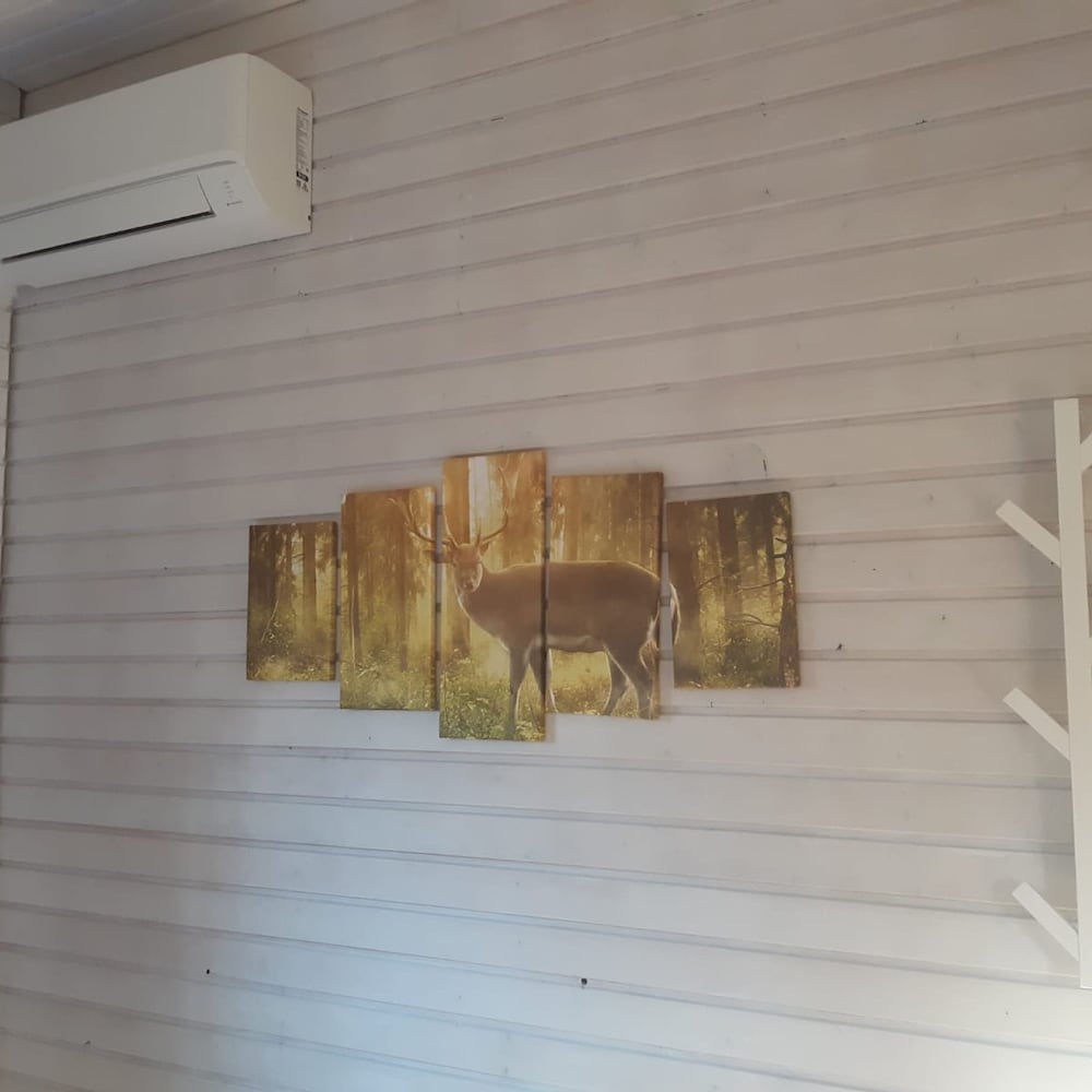 Comfort Sauna 4p i Uelsen, Billede 18