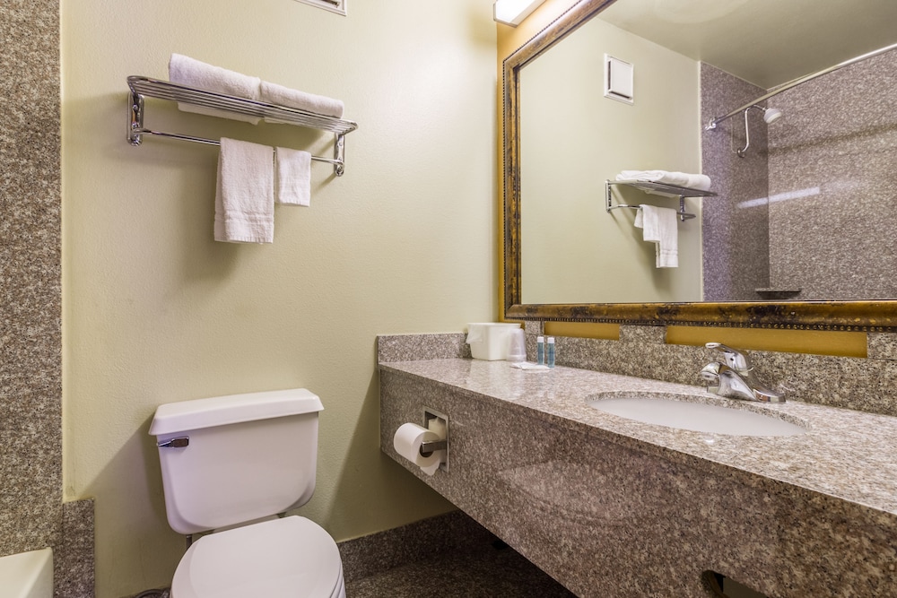 Basic Single Room photo 3