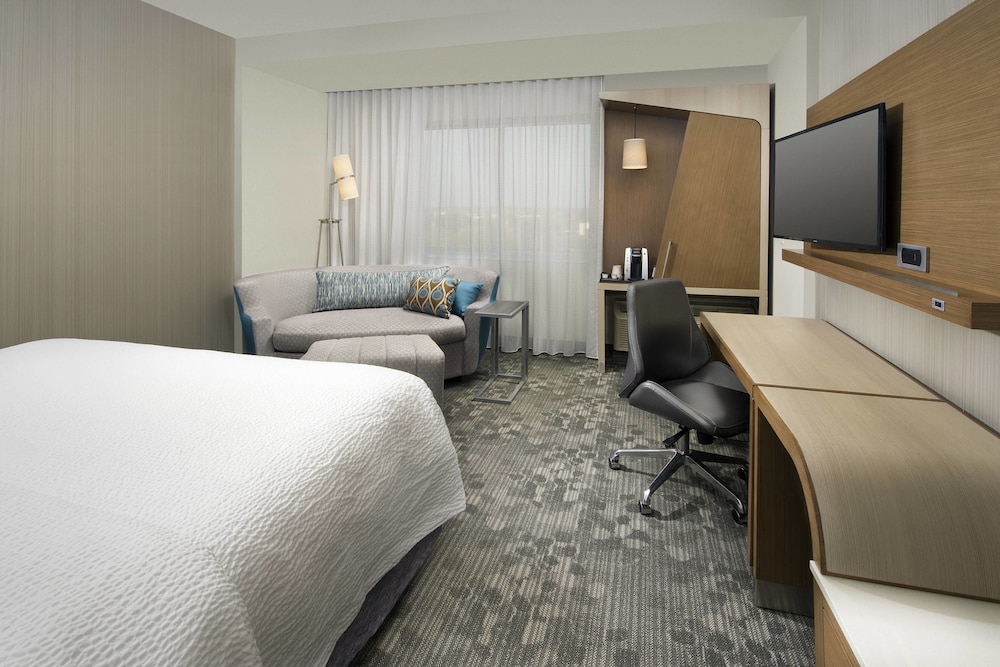 Room, 1 King Bed with Sofa bed (Mobility/Hearing Access, Roll-In Shwr) photo 2