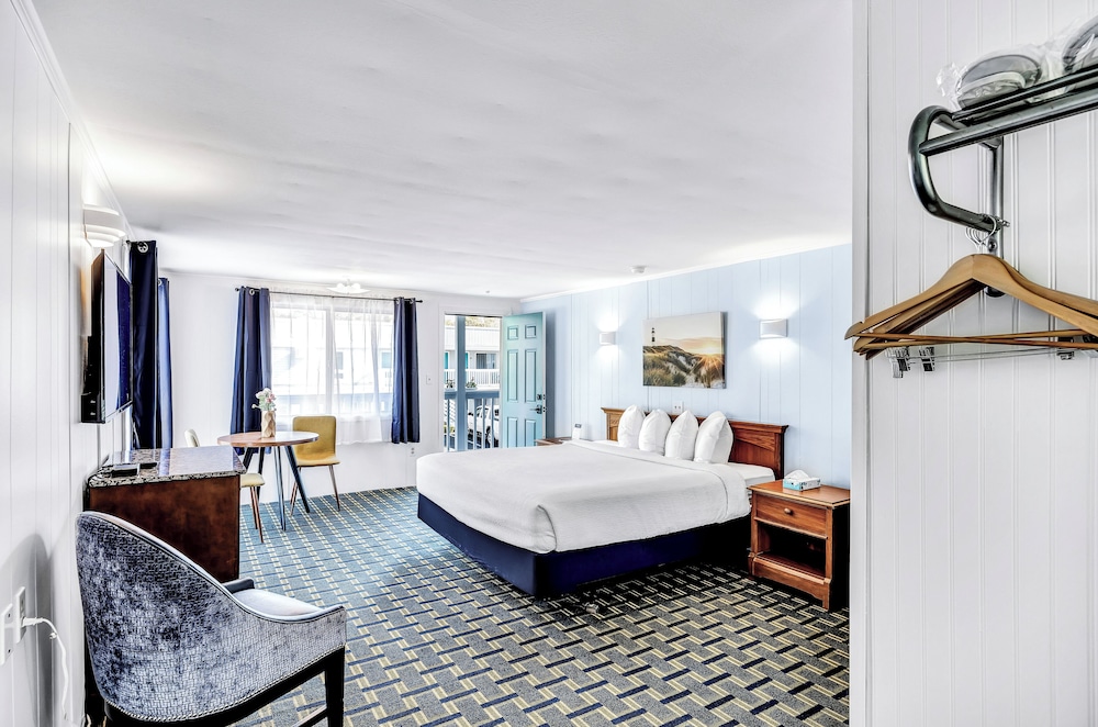 Standard Single Room, 1 King Bed photo 1
