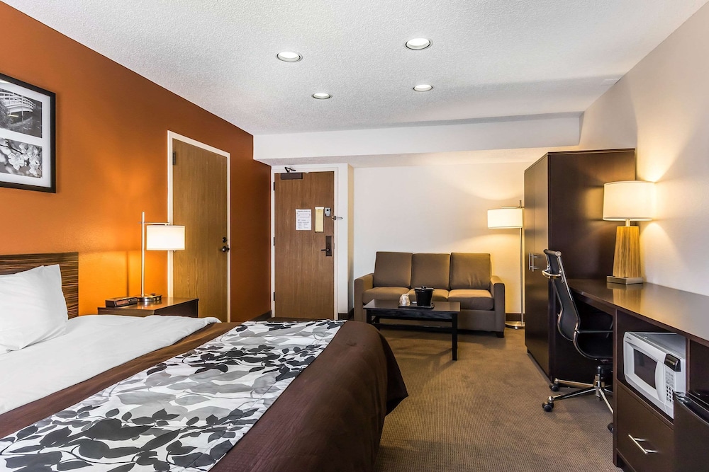 Suite, 1 King Bed, Non Smoking - Photo 4