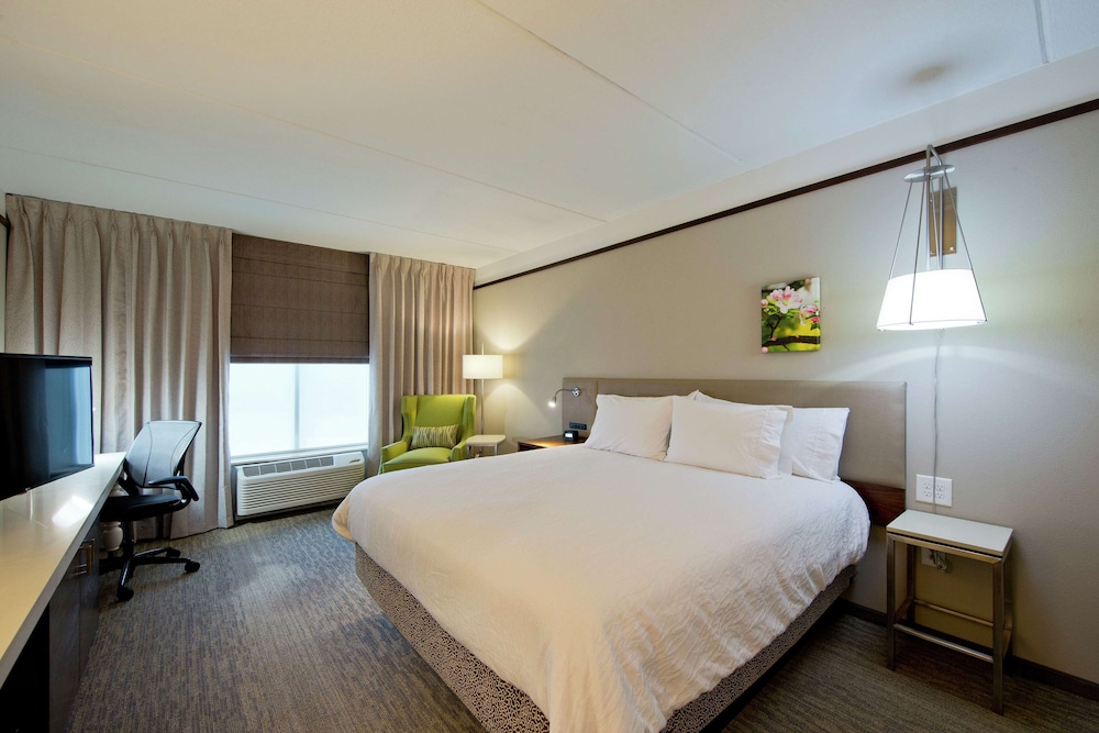 Room, 1 King Bed, Accessible (Roll-in Shower)
