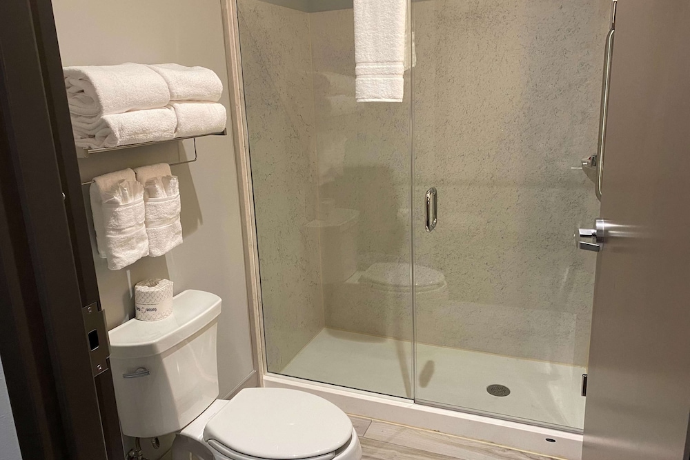 Studio Suite, Multiple Beds, Non Smoking - Photo 5