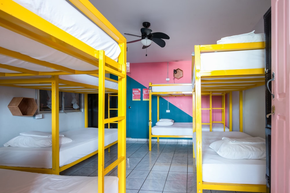 Bed In 8-Bed Dormitory Room