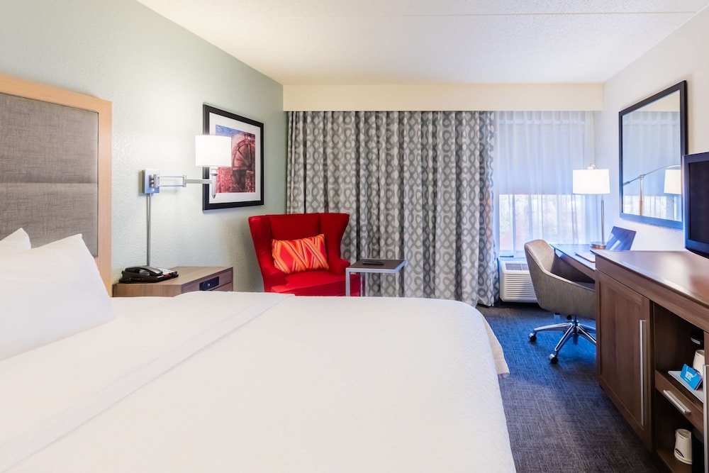 Room, 1 King Bed, Accessible - Photo 5