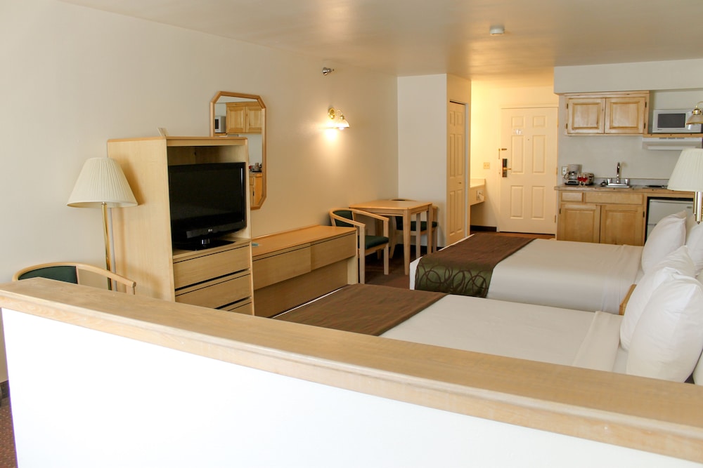 Studio Suite, Multiple Beds, Non Smoking photo 2
