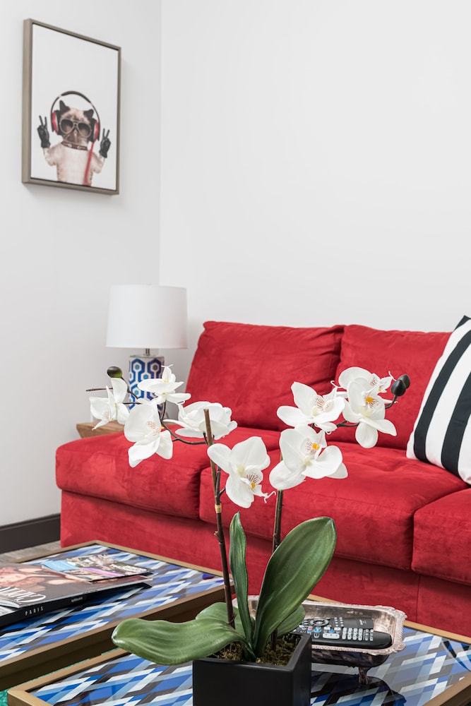 Deluxe Apartment, 1 Queen Bed, Non Smoking, City View photo 3