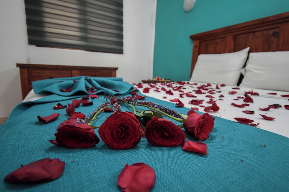 Honeymoon Suite - Photo 5