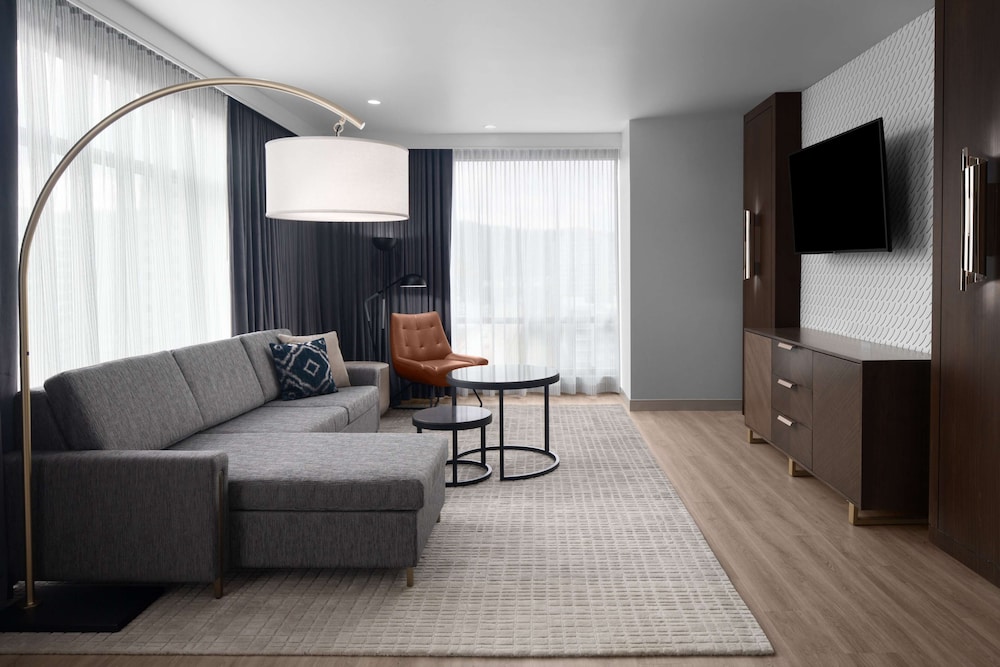 Suite, 1 King Bed, Accessible (Mobility & Hearing, Roll-In Shower) - Photo 5