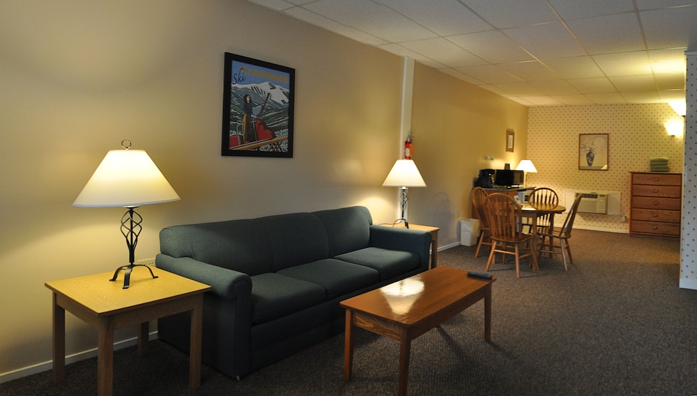 Motel Room, 1 King Bed And Queen Sleep Sofa photo 3