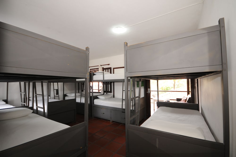 Standard Shared Dormitory photo 1