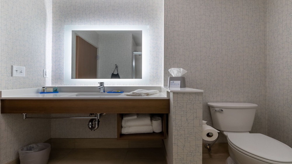 Suite, 1 King Bed (Walk-In Shower) - Photo 7