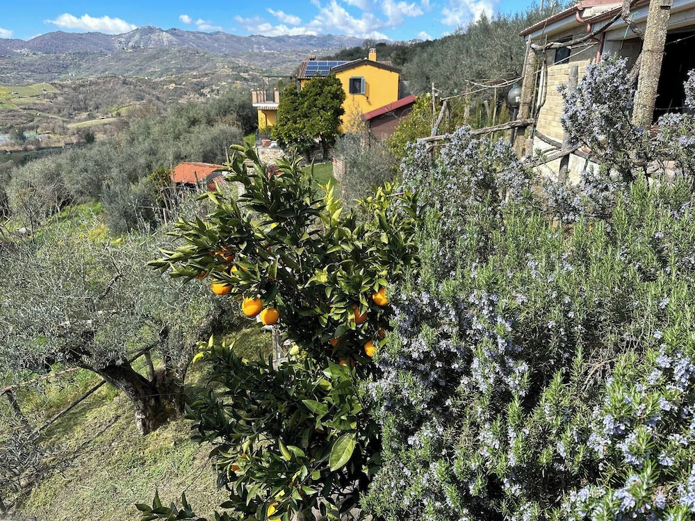 Hillside Home With Fantastic View - 7 Beds - Only 1h From Rome, Fotografia 25