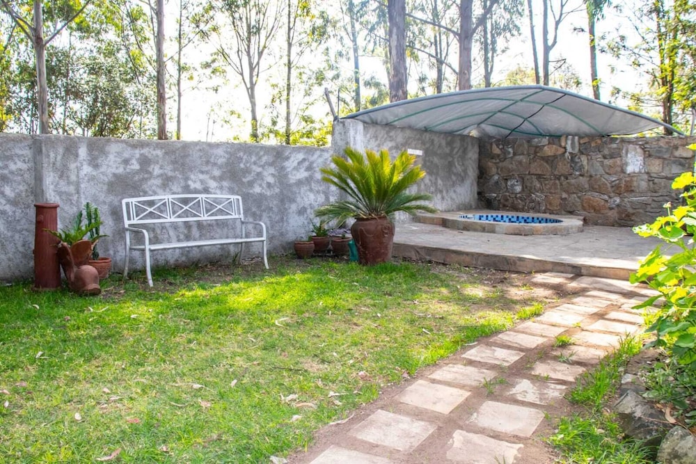Deluxe Bungalow photo 3