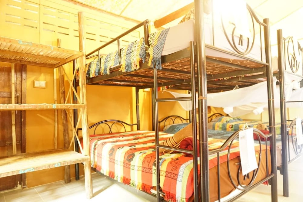 Basic Shared Dormitory, Mixed Dorm, Non Smoking, River View photo 3