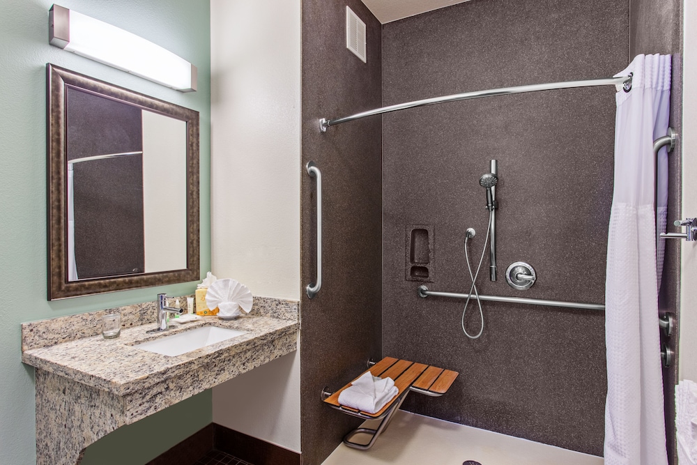 Suite, 1 Bedroom, Accessible, Kitchen (Roll-In Shower)