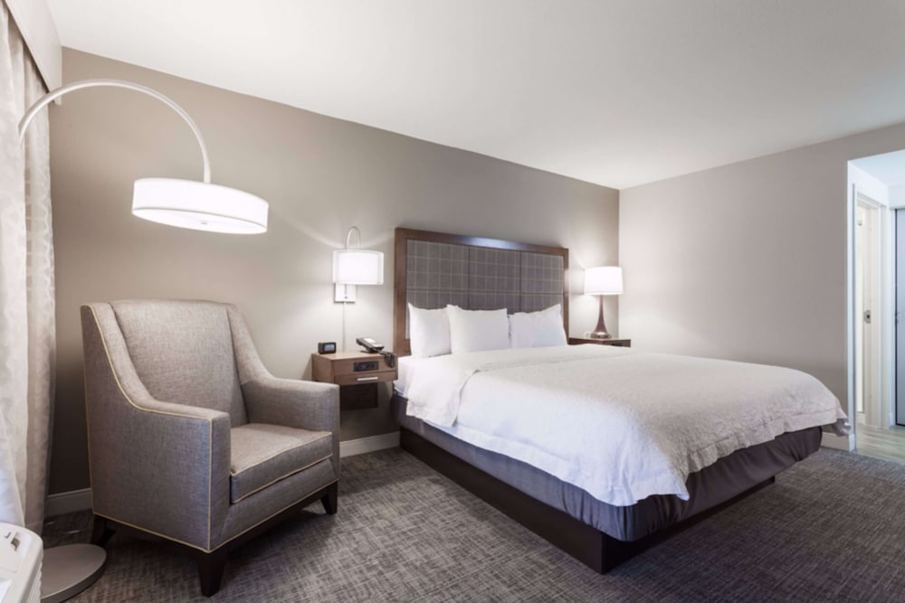 Suite, 1 King Bed, Accessible, Non Smoking - Photo 3