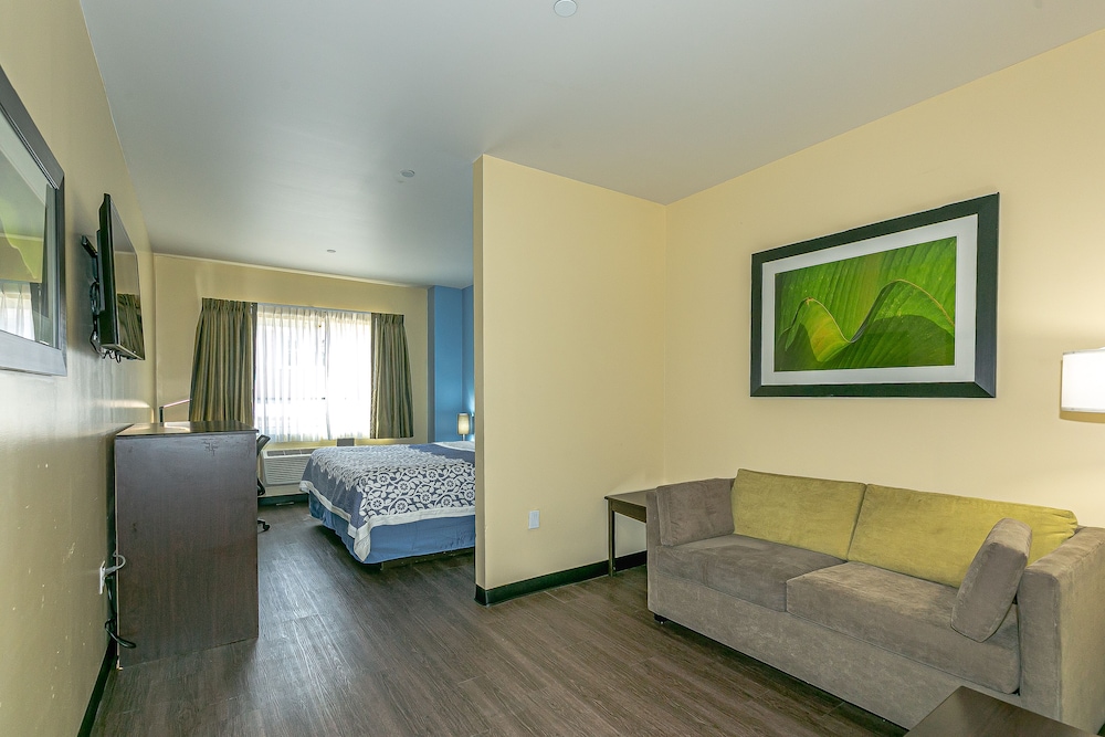 Standard Studio Suite, 1 King Bed with Sofa bed photo 3