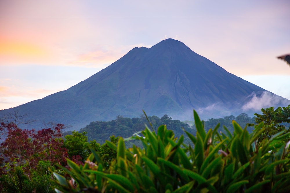 Ecolodge Family Cabin with Volcano View photo 2